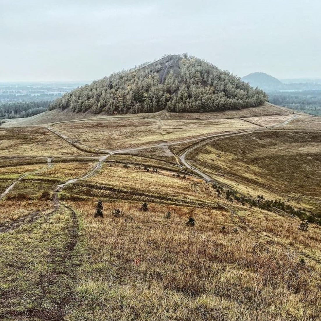 strava link