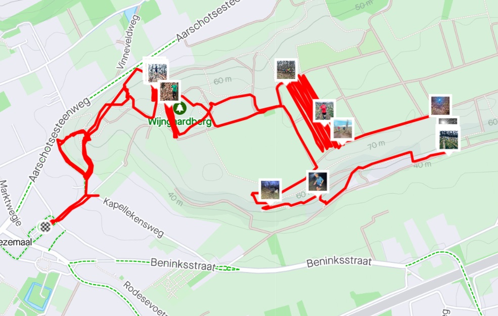 strava link