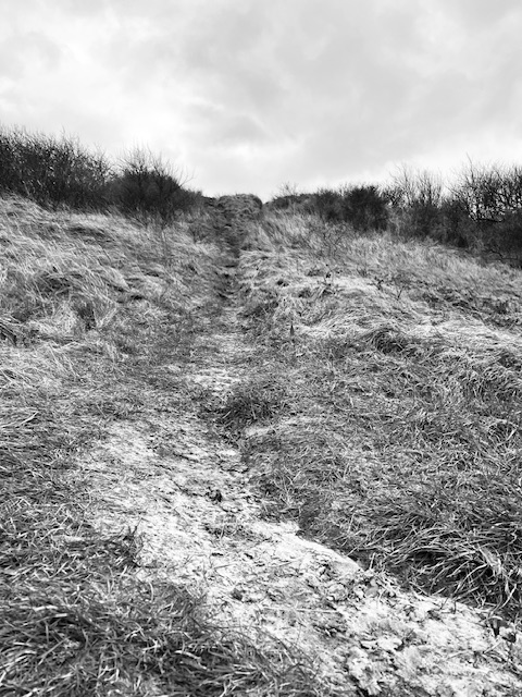 strava link