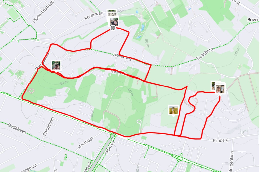 strava link
