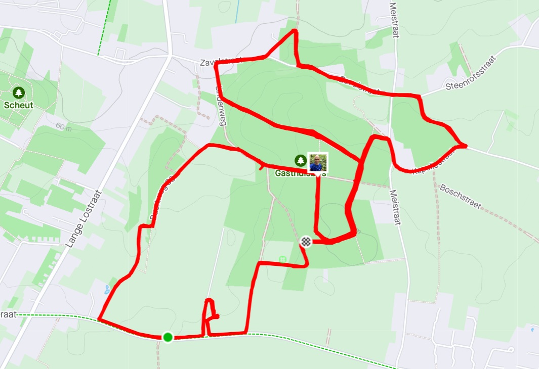 strava link